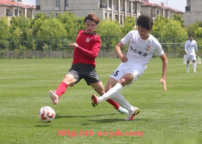 金年会-法甲外援赛季总结分析及其对未来引援策略的指导