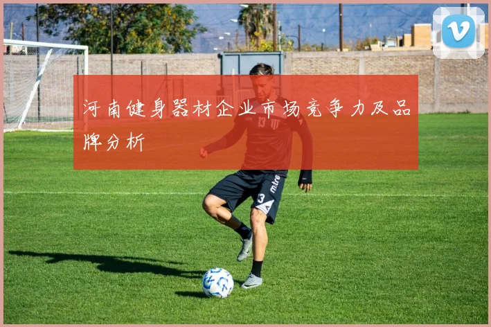 河南健身器材企业市场竞争力及品牌分析