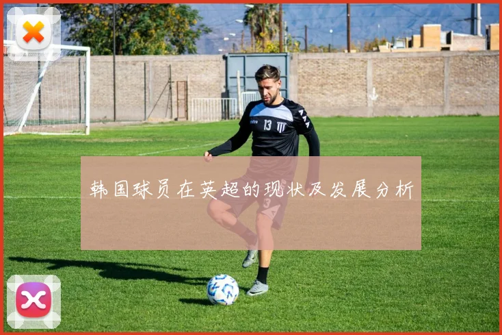 韩国球员在英超的现状及发展分析