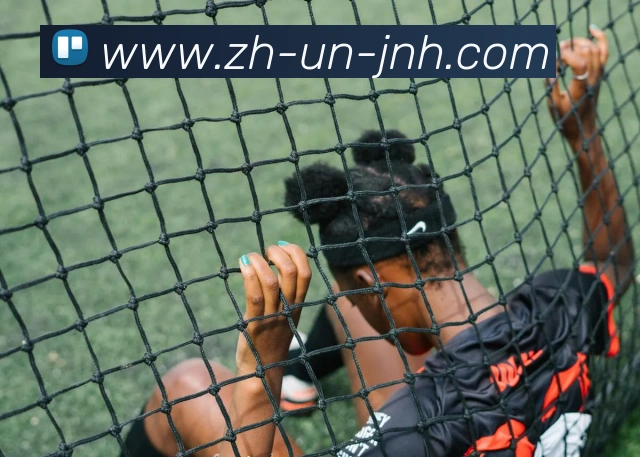 App Interface Preview