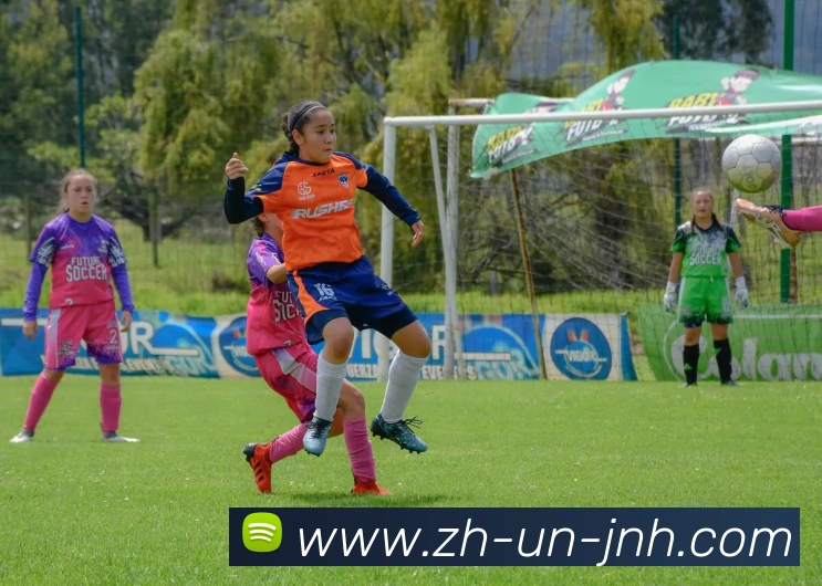 数据防护可视化